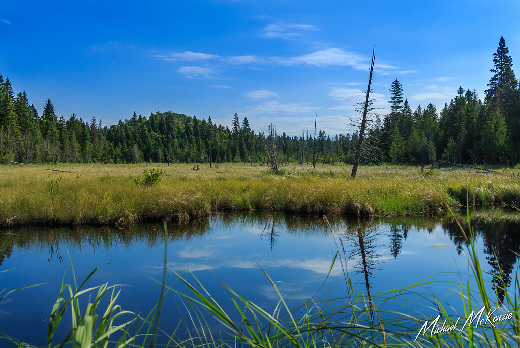 Isle Royale National Park Travel Guide: Plan Your Trip with Confidence — Isle Royale National Park, United States travel guide