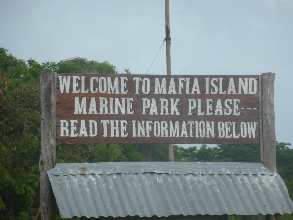Mafia Island Travel Guide: Plan Your Trip with Confidence — Mafia Island Marine Park, Tanzania travel guide