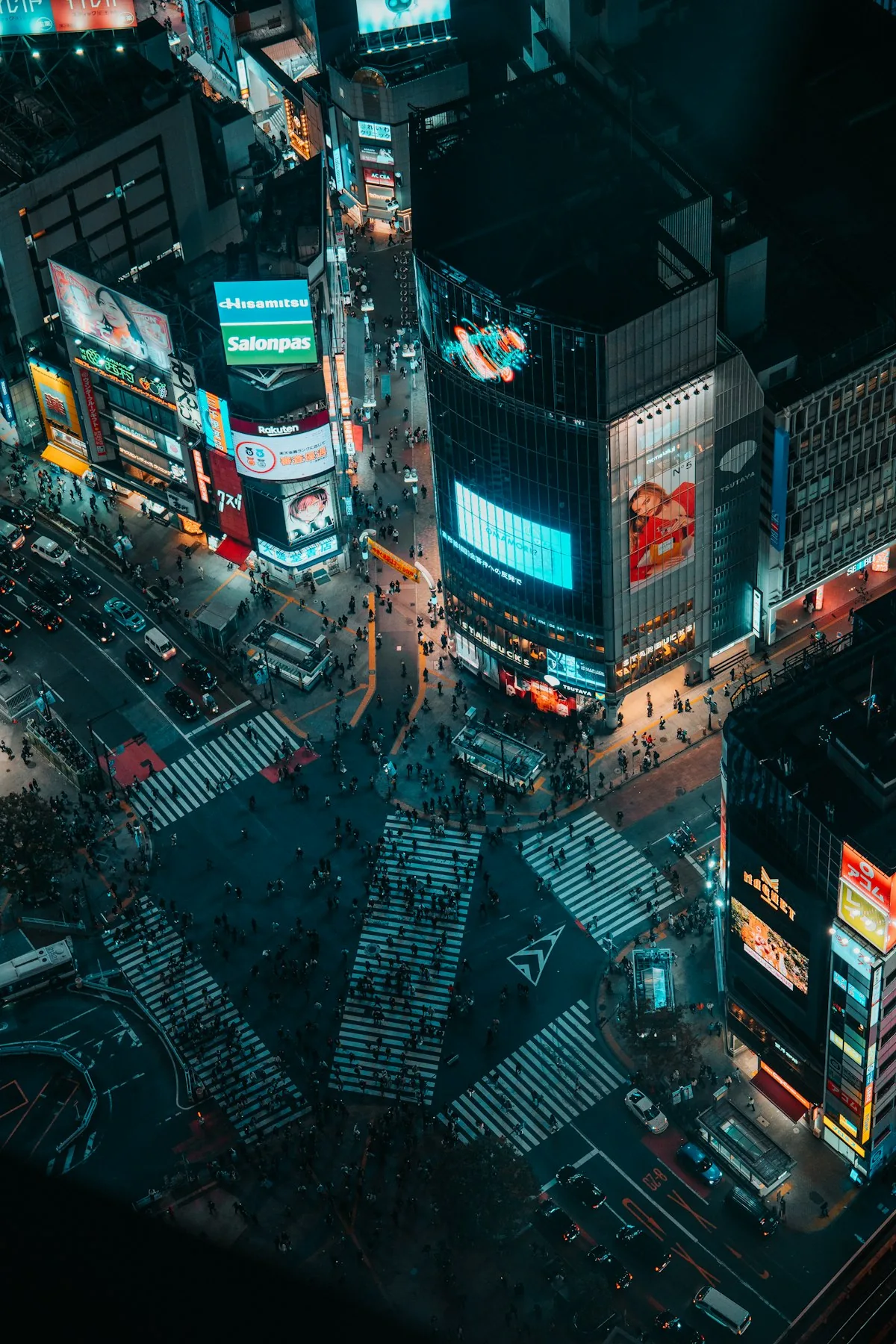 Tokyo Adventure: Routes, Views and Outdoor Experiences