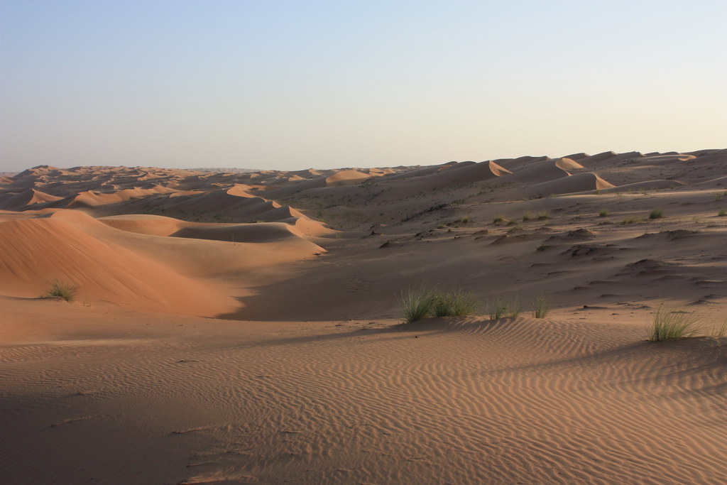 Wahiba Sands Travel Guide: Plan Your Trip with Confidence — Wahiba Sands, Oman travel guide