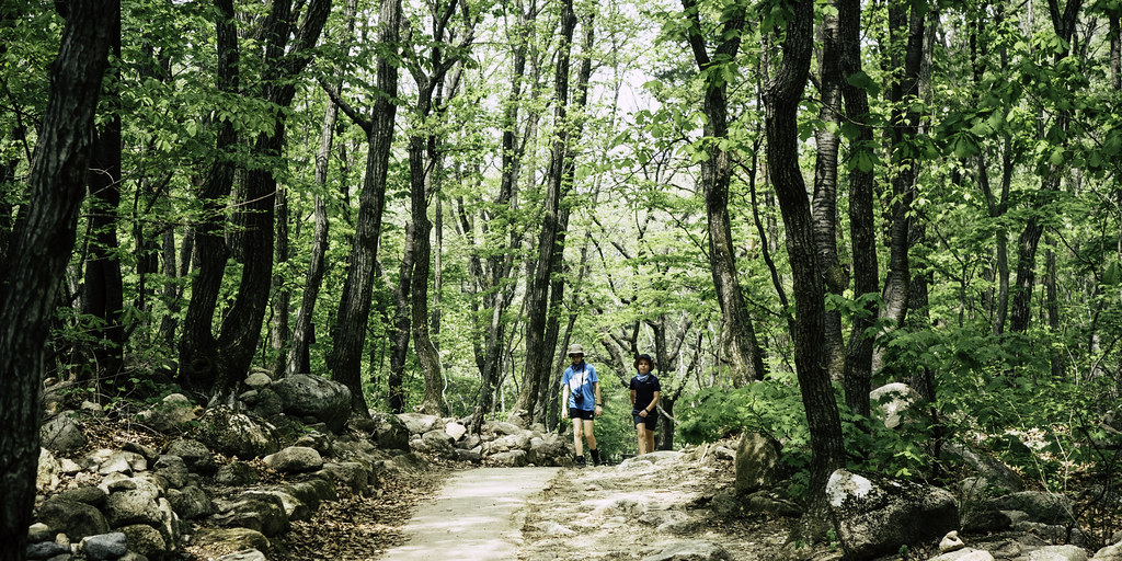 Seoraksan Travel Guide: Plan Your Trip with Confidence — Seoraksan National Park, South Korea travel guide