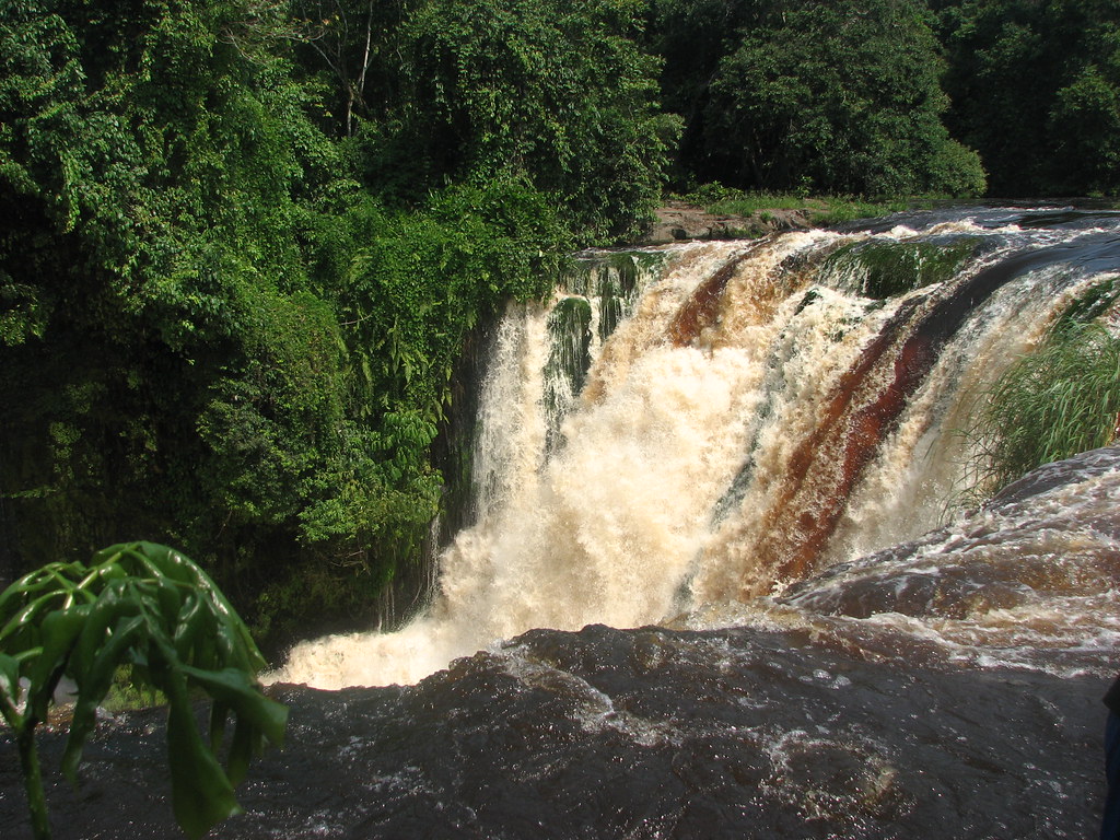 Ivindo National Park Travel Guide: Plan Your Trip with Confidence — Ivindo National Park, Gabon travel guide