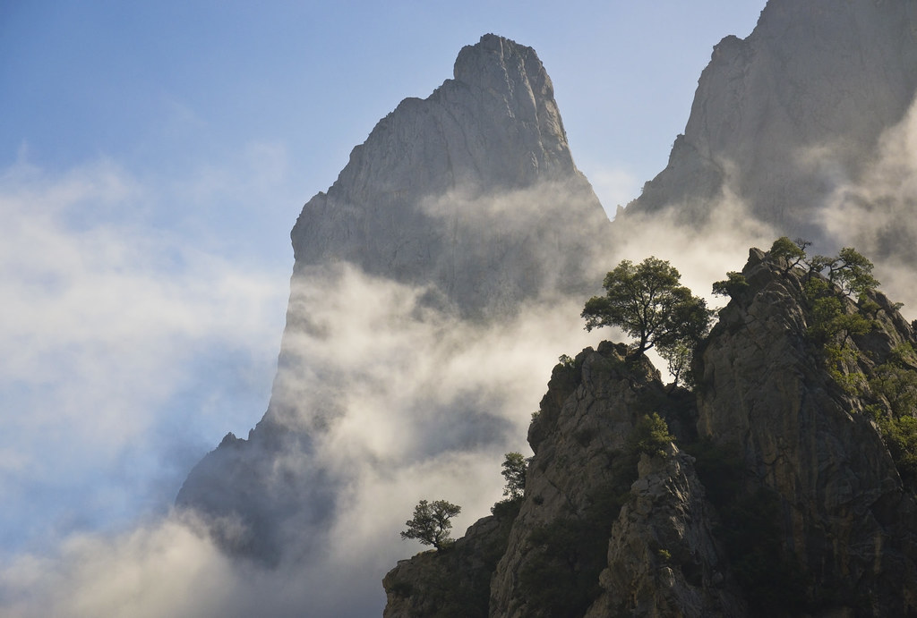 Picos de Europa Travel Guide: Plan Your Trip with Confidence — Picos de Europa National Park, Spain travel guide