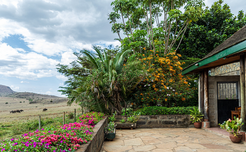 Lake Nakuru Travel Guide: Plan Your Trip with Confidence — Lake Nakuru National Park, Kenya travel guide