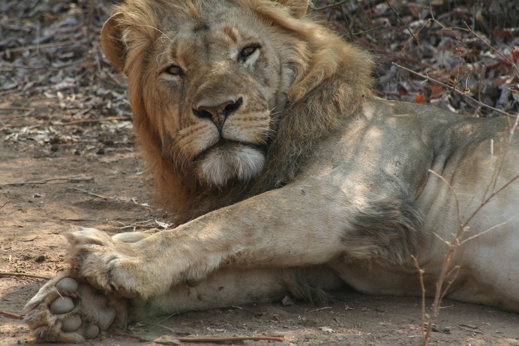 Lower Zambezi Park Travel Guide: Plan Your Trip with Confidence — Lower Zambezi National Park, Zambia travel guide