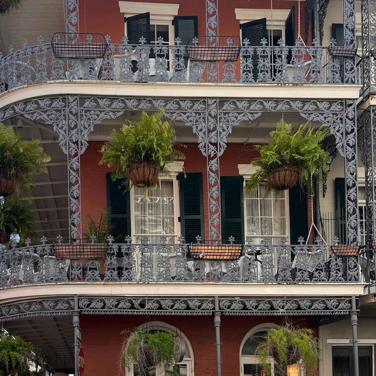 New Orleans Adventure: Routes, Views and Outdoor Experiences