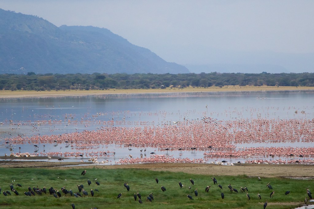 Lake Manyara Travel Guide: Plan Your Trip with Confidence — Lake Manyara National Park, Tanzania travel guide