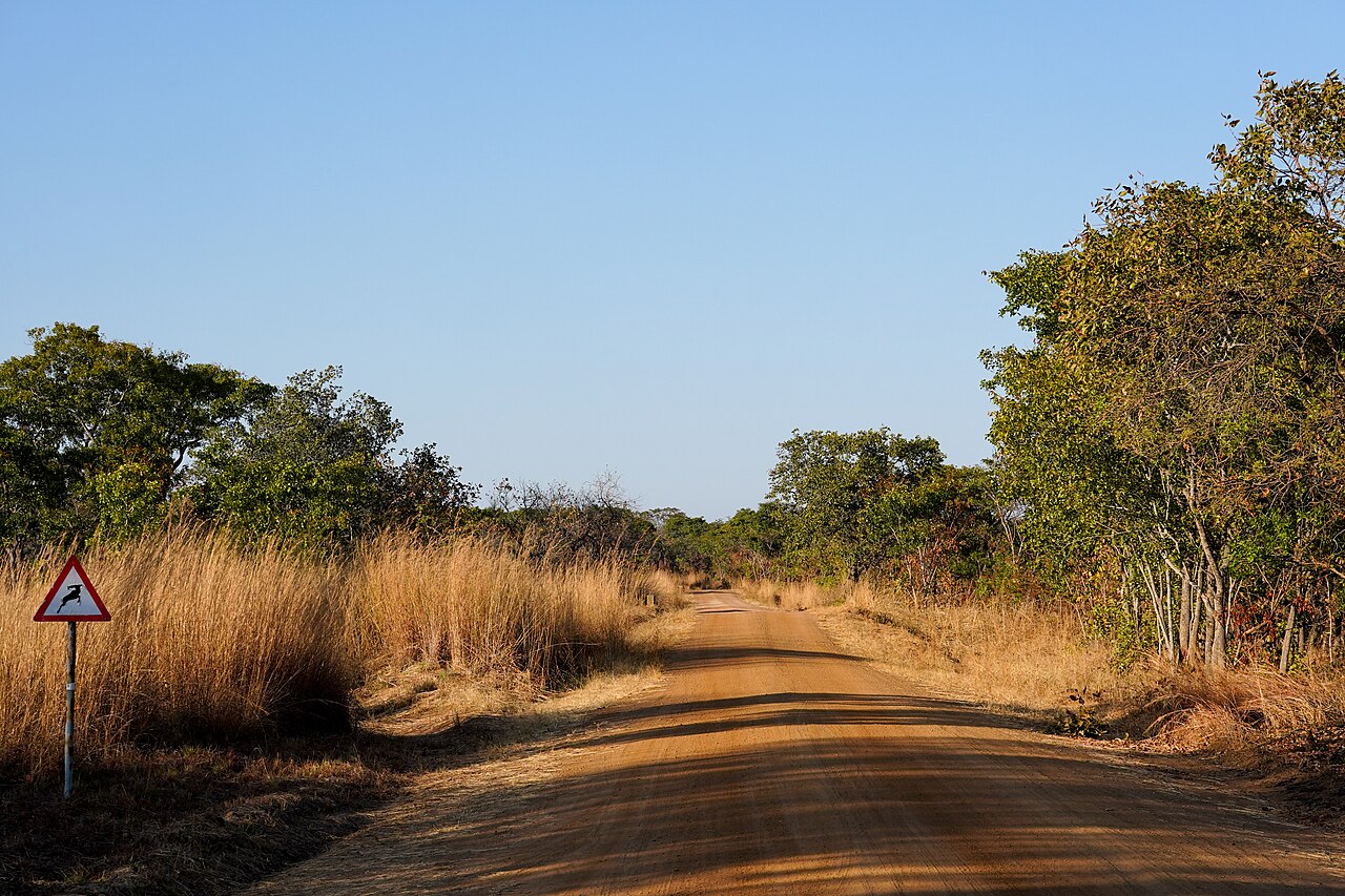 Kafue National Park Travel Guide: Plan Your Trip with Confidence — Kafue National Park, Zambia travel guide