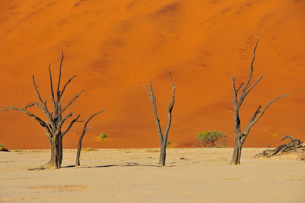 Sossusvlei Dunes Travel Guide: Plan Your Trip with Confidence — Sossusvlei, Namibia travel guide