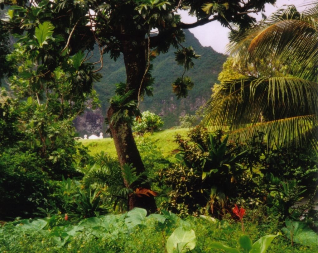 Fatu Hiva Travel Guide: Plan Your Trip with Confidence — Fatu Hiva, French Polynesia travel guide
