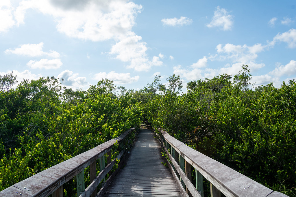 Biscayne National Park Travel Guide: Plan Your Trip with Confidence — Biscayne National Park, United States travel guide