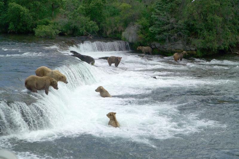 Katmai National Park Travel Guide: Plan Your Trip with Confidence — Katmai National Park, United States travel guide