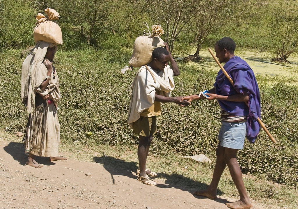 Blue Nile Falls Travel Guide: Plan Your Trip with Confidence — Blue Nile Falls, Ethiopia travel guide