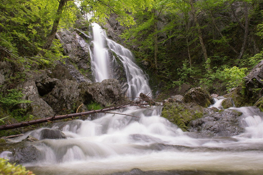 Fundy National Park Travel Guide: Plan Your Trip with Confidence — Fundy National Park, Canada travel guide