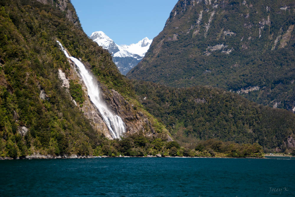 Fiordland Wilderness Travel Guide: Plan Your Trip with Confidence — Fiordland National Park, New Zealand travel guide