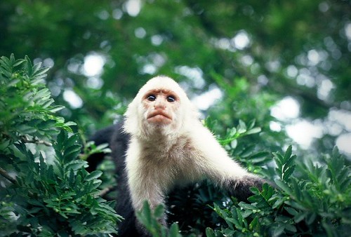 Monteverde Cloud Forest Travel Guide: Plan Your Trip with Confidence — Monteverde, Costa Rica travel guide