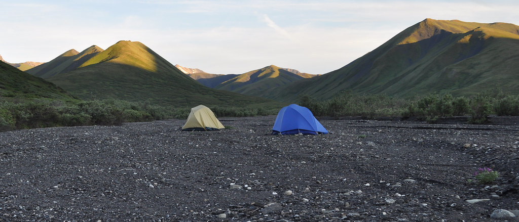 Denali National Park Travel Guide: Plan Your Trip with Confidence — Denali National Park, United States travel guide