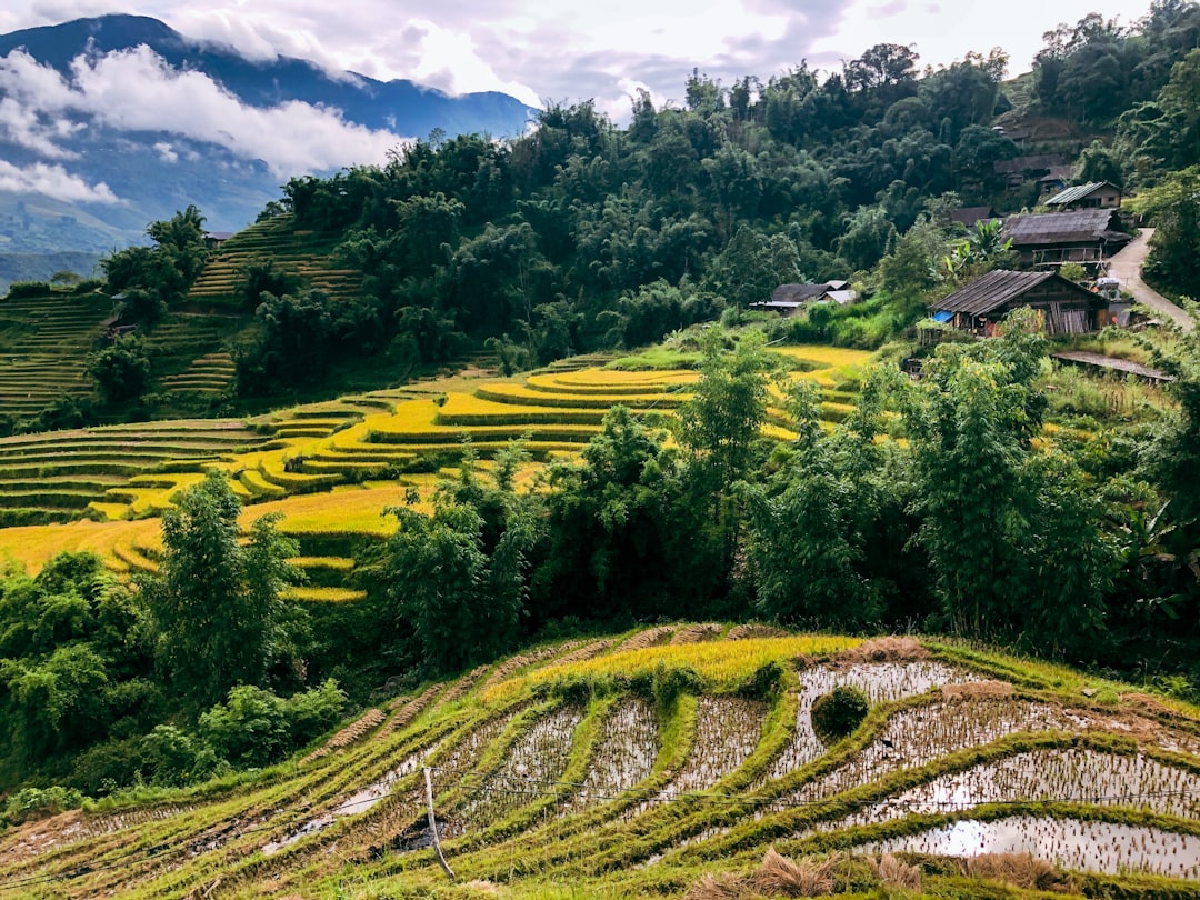 Sapa Rice Terraces Travel Guide: Everything You Need to Know — Sapa, Vietnam travel guide