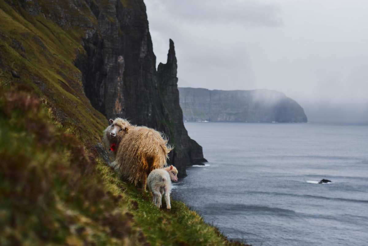 Best Destinations 2026 Travel Guide: Everything You Need to Know — Worldwide travel guide