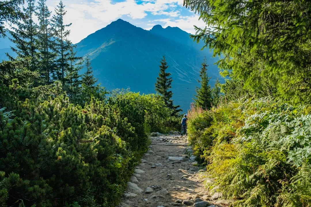 hikers trekking up a mountain trail in a scenic landscape
