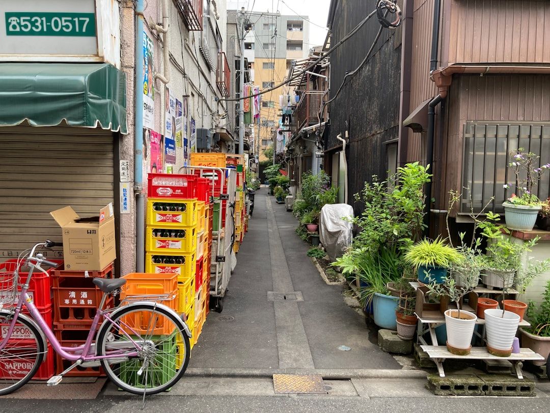 Option 1: Direct Shinkansen (2.5 Hours) in Tokyo