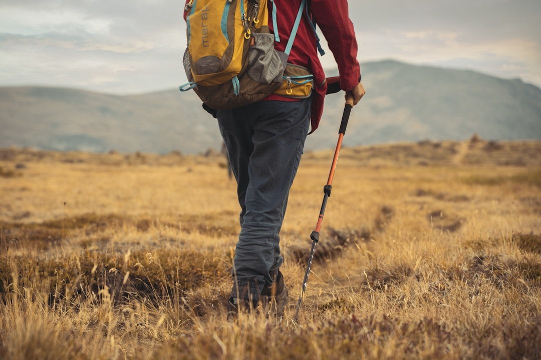 Hiking boots on a mountain trail
