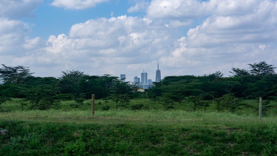 How Much Does a Trip to Kenya Actually Cost? A Real Breakdown